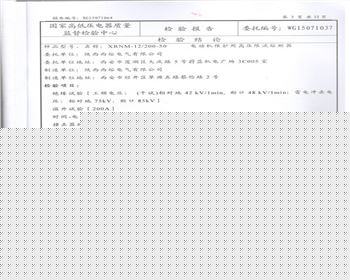 檢驗結(jié)論報告