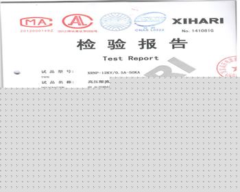 XRNP-12KV 0.5A-1檢驗報告